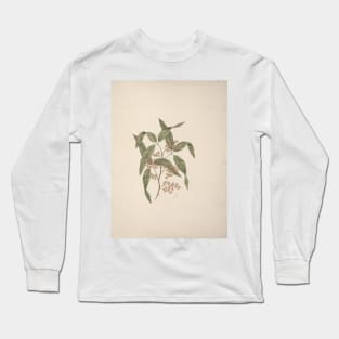 Rhus Retinorrhoea Oliver by Luigi Balugani Long Sleeve T-Shirt